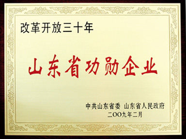 山東省功勛企業(yè)